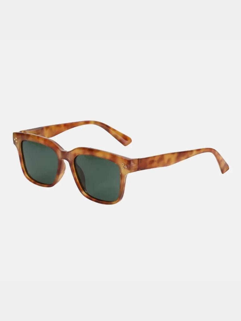 Sepia Testament Polarized Sunglasses for Men